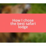 How I chose the best safari lodge