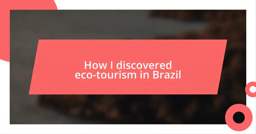 How I discovered eco-tourism in Brazil