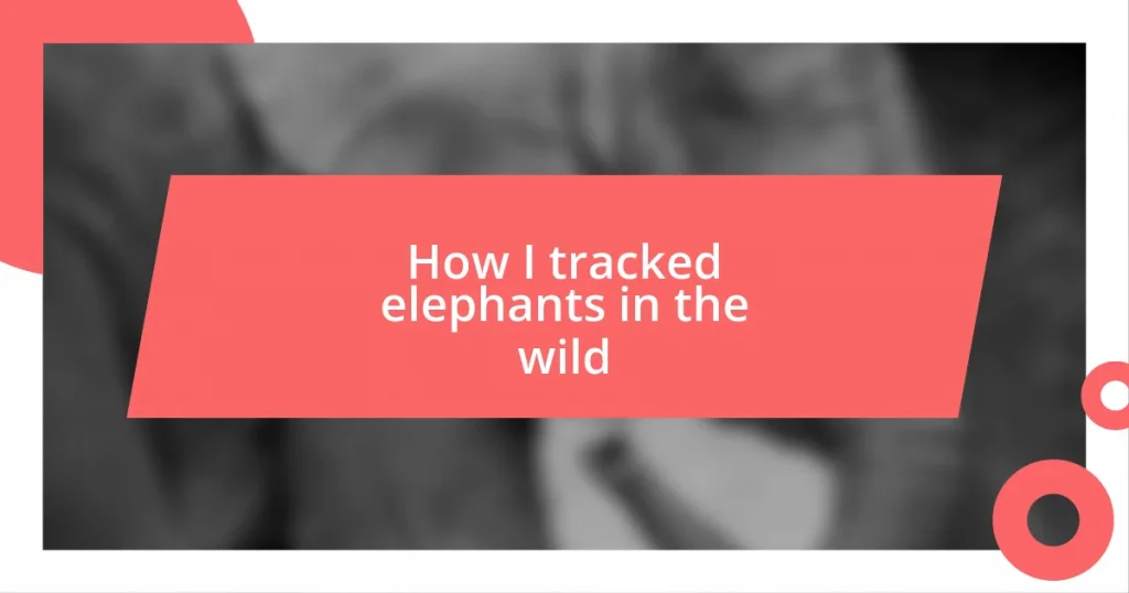 How I tracked elephants in the wild