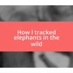 How I tracked elephants in the wild