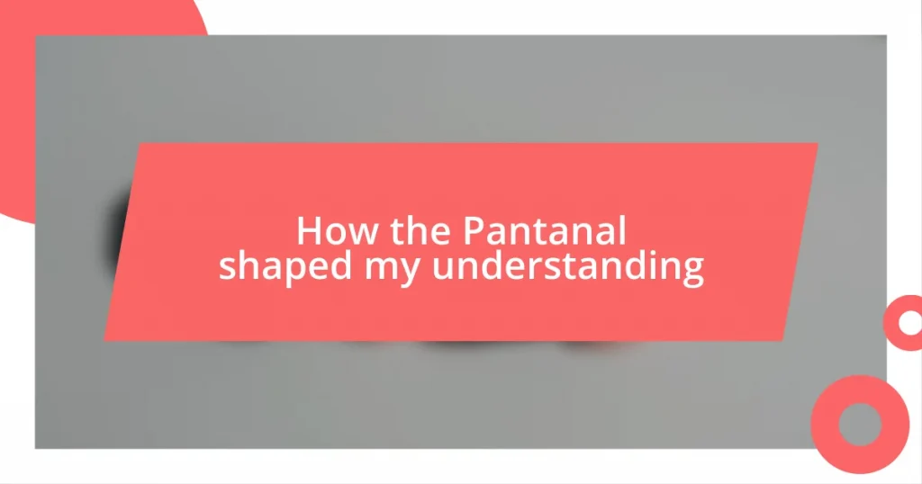 How the Pantanal shaped my understanding