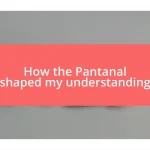 How the Pantanal shaped my understanding