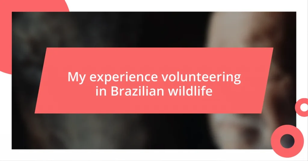 My experience volunteering in Brazilian wildlife