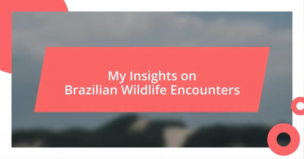 My Insights on Brazilian Wildlife Encounters