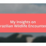 My Insights on Brazilian Wildlife Encounters