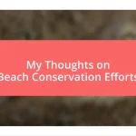 My Thoughts on Beach Conservation Efforts