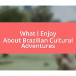 What I Enjoy About Brazilian Cultural Adventures