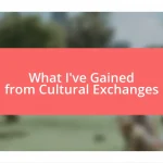 What I’ve Gained from Cultural Exchanges