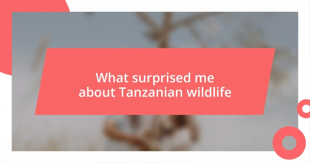 What surprised me about Tanzanian wildlife