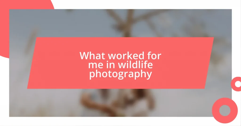 What worked for me in wildlife photography