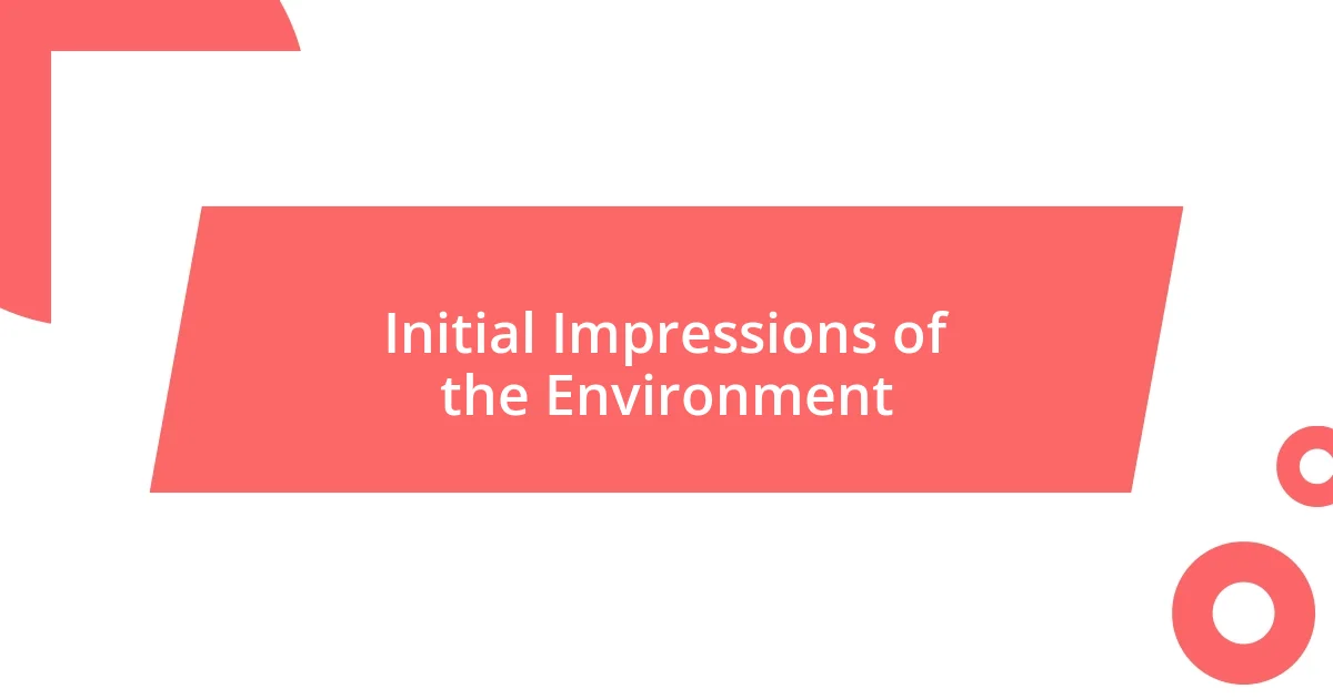 Initial Impressions of the Environment