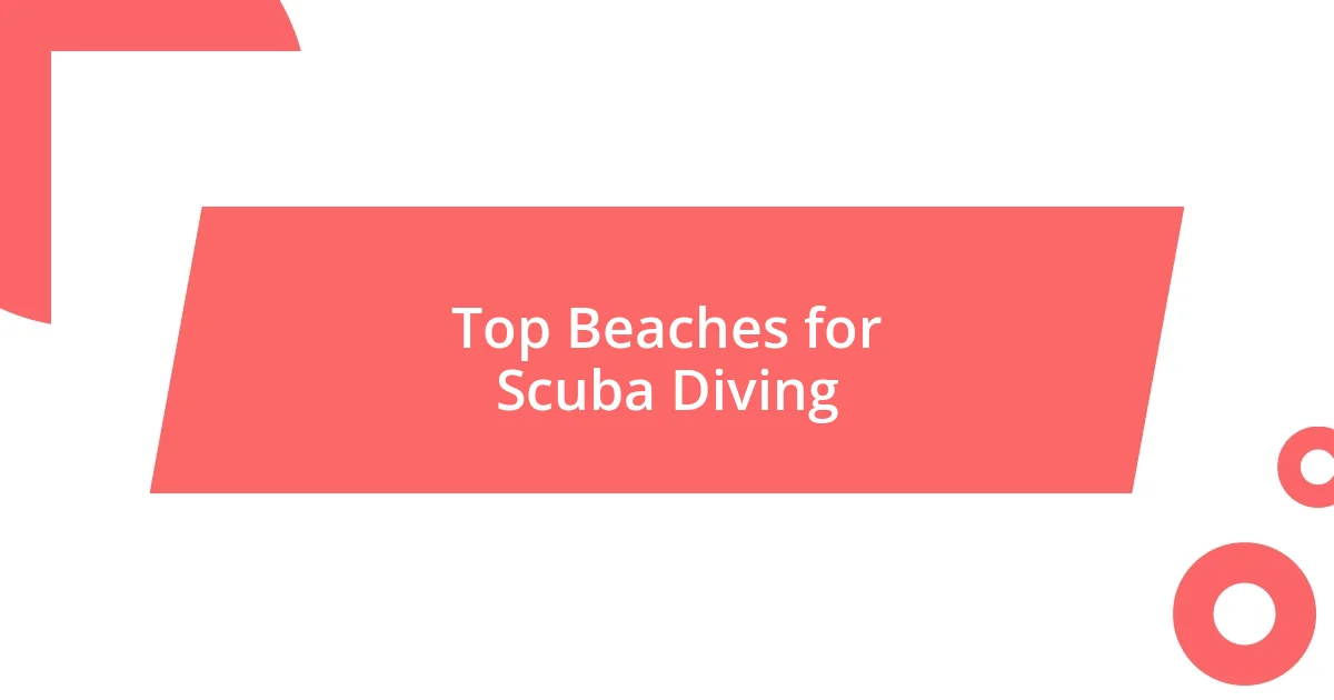 Top Beaches for Scuba Diving