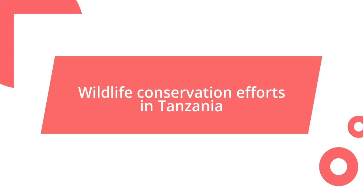 Wildlife conservation efforts in Tanzania